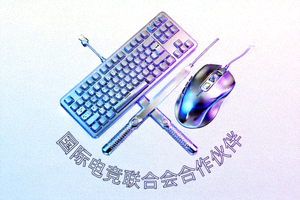 国际电竞联合会合作伙伴徽标 - 键盘与鼠标组合图案